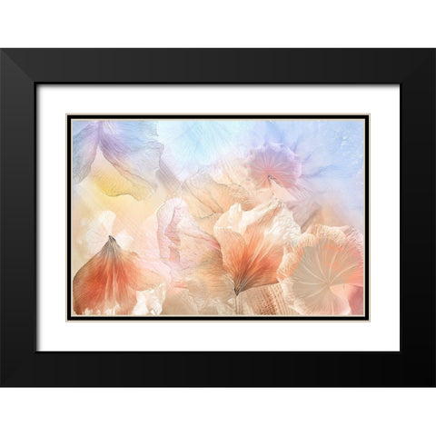 Ethereal Flowers Black Modern Wood Framed Art Print with Double Matting by Shumilova, Ludmila