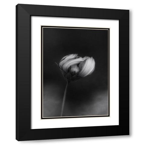Cosmos Black Modern Wood Framed Art Print with Double Matting by Gronkjar, Lotte