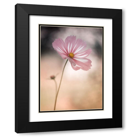 Cosmos Black Modern Wood Framed Art Print with Double Matting by Gronkjar, Lotte