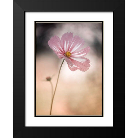 Cosmos Black Modern Wood Framed Art Print with Double Matting by Gronkjar, Lotte