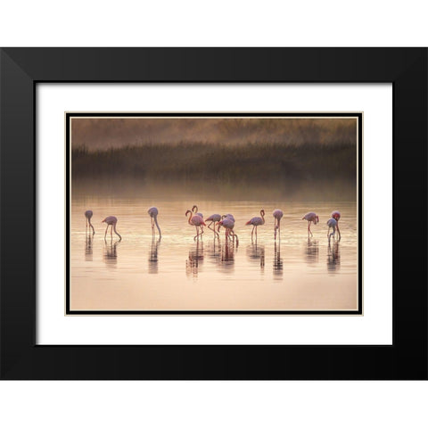 Photographic Ode To Monet Black Modern Wood Framed Art Print with Double Matting by C. Sink, Jeffrey