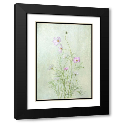 Cosmos Black Modern Wood Framed Art Print with Double Matting by W., Catherine