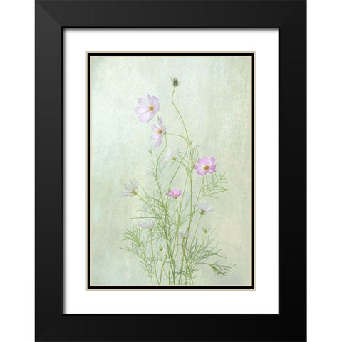 Cosmos Black Modern Wood Framed Art Print with Double Matting by W., Catherine
