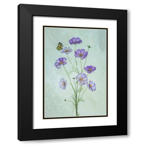 Elegant Cosmos Flowers Black Modern Wood Framed Art Print with Double Matting by Jacobs, Lydia
