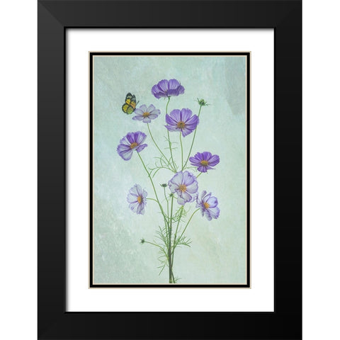 Elegant Cosmos Flowers Black Modern Wood Framed Art Print with Double Matting by Jacobs, Lydia