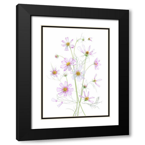 Cosmos Black Modern Wood Framed Art Print with Double Matting by Zhou, Fangping
