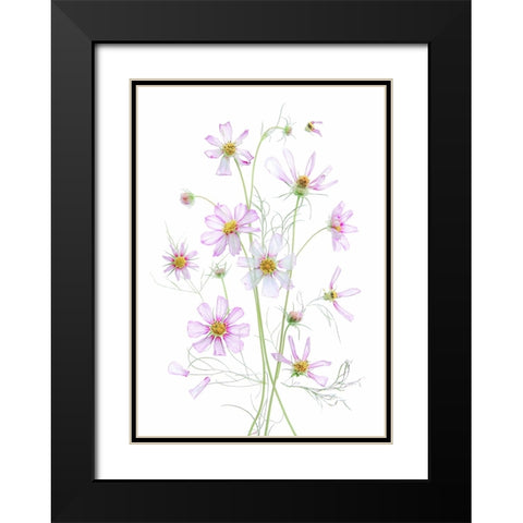 Cosmos Black Modern Wood Framed Art Print with Double Matting by Zhou, Fangping