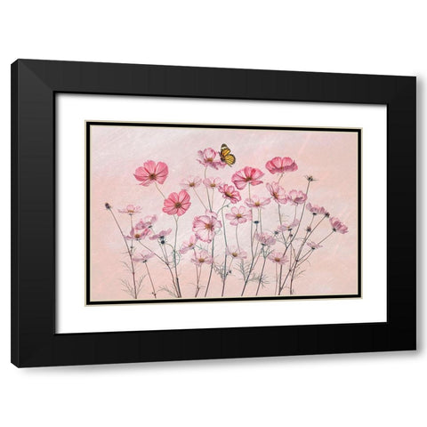 Cosmos And Butterfly Black Modern Wood Framed Art Print with Double Matting by Jacobs, Lydia