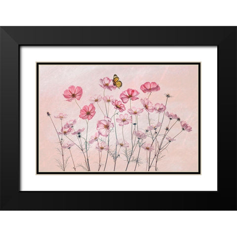 Cosmos And Butterfly Black Modern Wood Framed Art Print with Double Matting by Jacobs, Lydia