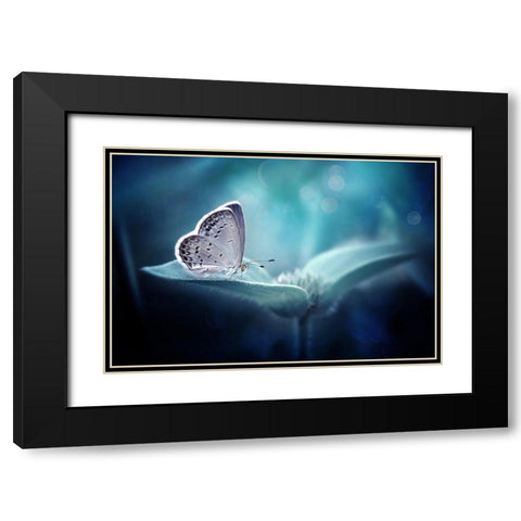 In Serenity Black Modern Wood Framed Art Print with Double Matting by Maududdin, Fauzan