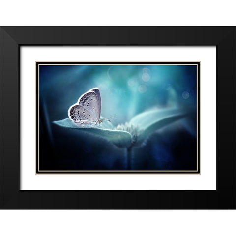 In Serenity Black Modern Wood Framed Art Print with Double Matting by Maududdin, Fauzan