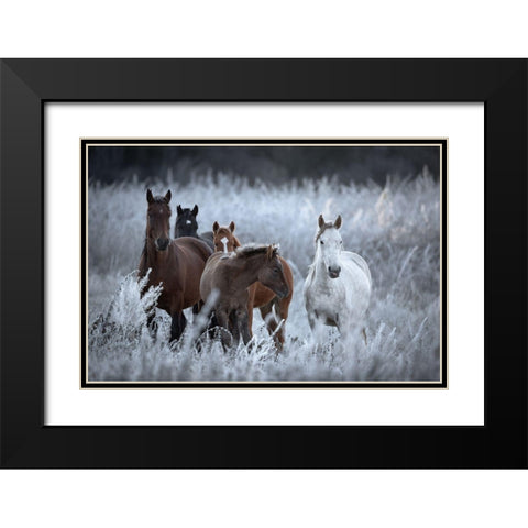One Frosty Morning.. Black Modern Wood Framed Art Print with Double Matting by Sokolovsky, Vlad