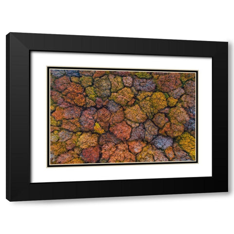 Above The Autumn Black Modern Wood Framed Art Print with Double Matting by Ruoppolo, Luigi