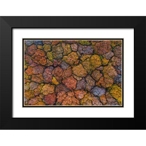 Above The Autumn Black Modern Wood Framed Art Print with Double Matting by Ruoppolo, Luigi