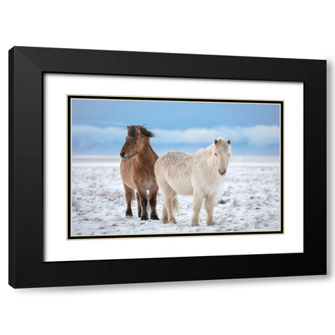 B R O T H E R S Black Modern Wood Framed Art Print with Double Matting by Fegari