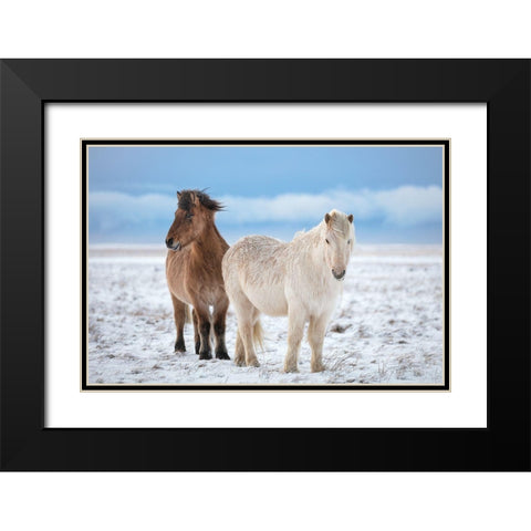 B R O T H E R S Black Modern Wood Framed Art Print with Double Matting by Fegari