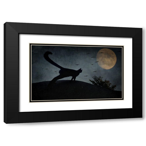 the curious tail of the cat filemon... Black Modern Wood Framed Art Print with Double Matting by Fabrowski, Robert