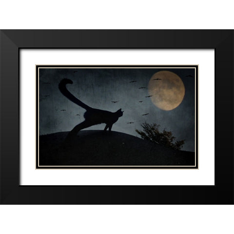 the curious tail of the cat filemon... Black Modern Wood Framed Art Print with Double Matting by Fabrowski, Robert