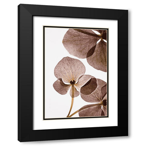 Botanical 5 Black Modern Wood Framed Art Print with Double Matting by Lenka