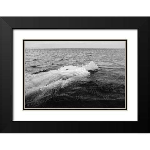 Ebb Tide Black Modern Wood Framed Art Print with Double Matting by Ishikura, Takaaki