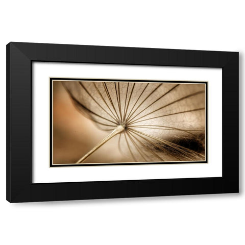 Nature blood vessels Black Modern Wood Framed Art Print with Double Matting by Pessach, Kobbie