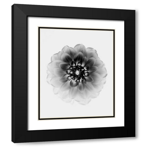 X-Ray Black Modern Wood Framed Art Print with Double Matting by Zhao, Alex