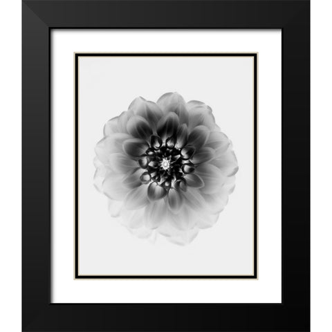 X-Ray Black Modern Wood Framed Art Print with Double Matting by Zhao, Alex