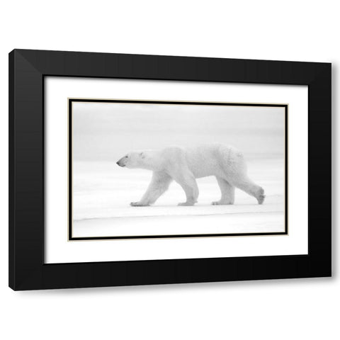 Just White Black Modern Wood Framed Art Print with Double Matting by Pozzi, Marco