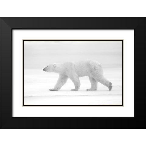 Just White Black Modern Wood Framed Art Print with Double Matting by Pozzi, Marco