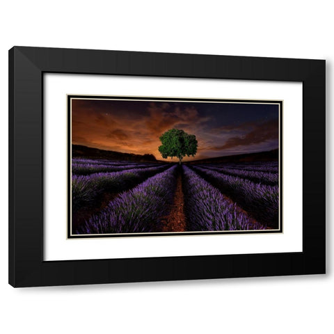 Untitled Black Modern Wood Framed Art Print with Double Matting by Vega Toledano, Cesar