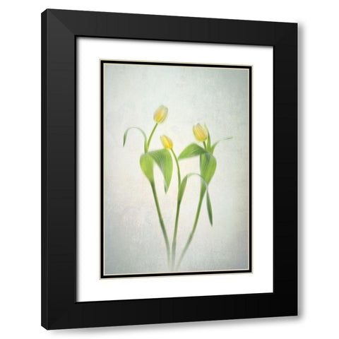 Yellow Tulips Black Modern Wood Framed Art Print with Double Matting by Jacobs, Lydia