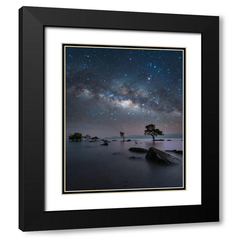 Chidiya Tapu Black Modern Wood Framed Art Print with Double Matting by Chander, Vikas