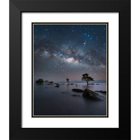 Chidiya Tapu Black Modern Wood Framed Art Print with Double Matting by Chander, Vikas