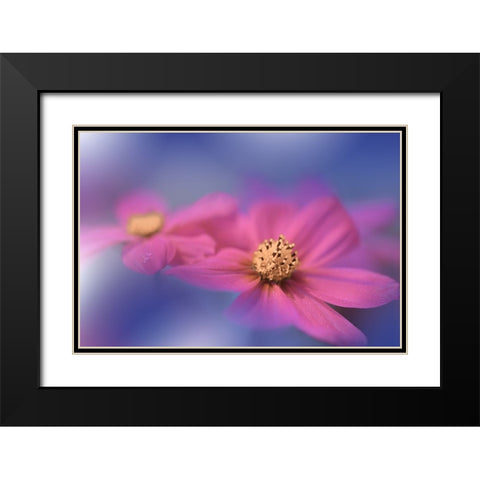 A Colorful World.. Black Modern Wood Framed Art Print with Double Matting by Nan, Juliana