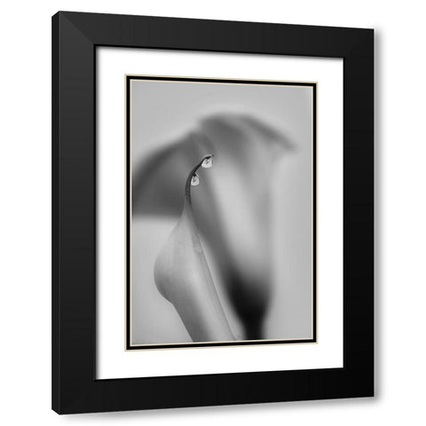 Two Drops Black Modern Wood Framed Art Print with Double Matting by Chenglu, Simon