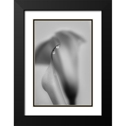 Two Drops Black Modern Wood Framed Art Print with Double Matting by Chenglu, Simon