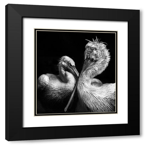 Crisscross Black Modern Wood Framed Art Print with Double Matting by Singh, Anita