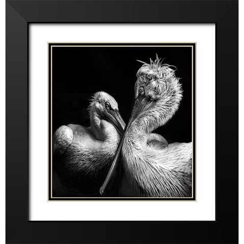 Crisscross Black Modern Wood Framed Art Print with Double Matting by Singh, Anita