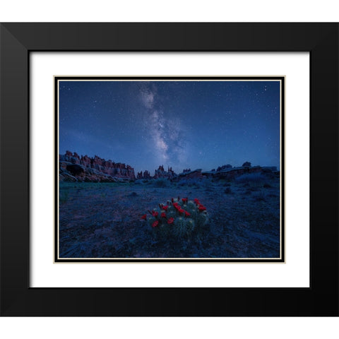 Milky Way Over Blooming Cactus In Needles District Black Modern Wood Framed Art Print with Double Matting by Xu, Mei