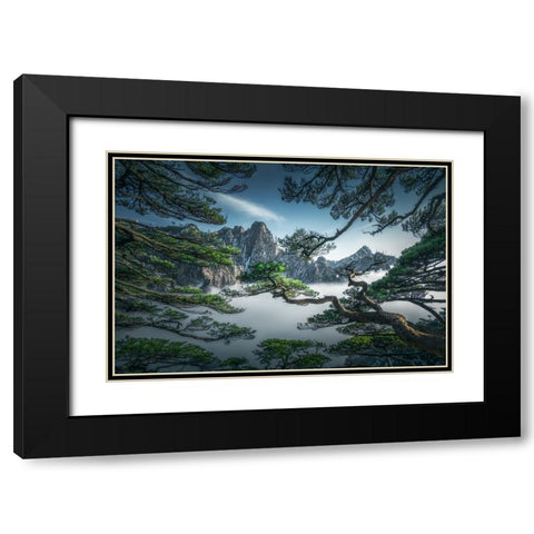 Strange Pine Tree In Yellow Mountain Black Modern Wood Framed Art Print with Double Matting by Ye, Ningyun