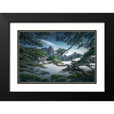 Strange Pine Tree In Yellow Mountain Black Modern Wood Framed Art Print with Double Matting by Ye, Ningyun