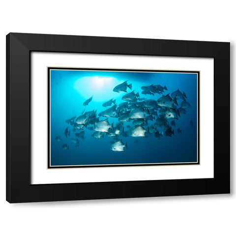School Time Black Modern Wood Framed Art Print with Double Matting by Y Lin, Ryan