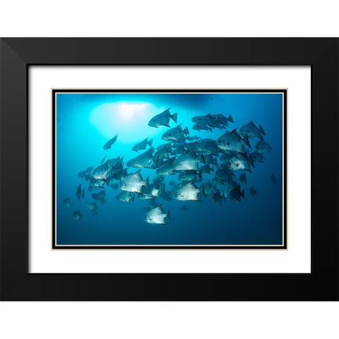School Time Black Modern Wood Framed Art Print with Double Matting by Y Lin, Ryan