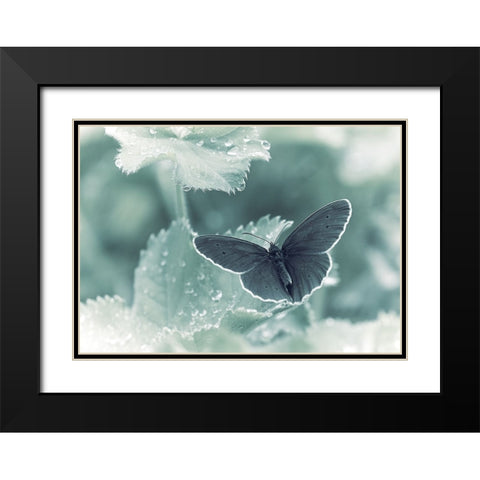 Spots A Drops Black Modern Wood Framed Art Print with Double Matting by Williams, Stuart