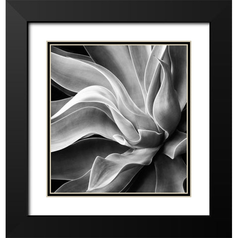 Agave Abstract, Summer 2022 Black Modern Wood Framed Art Print with Double Matting by Wechsler, Robin