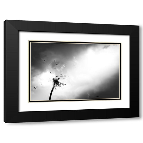 Breath of life Black Modern Wood Framed Art Print with Double Matting by Goto, Satoru