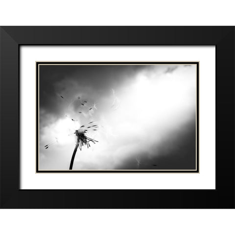 Breath of life Black Modern Wood Framed Art Print with Double Matting by Goto, Satoru