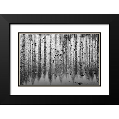 tall reflection Black Modern Wood Framed Art Print with Double Matting by Kim, Youngil