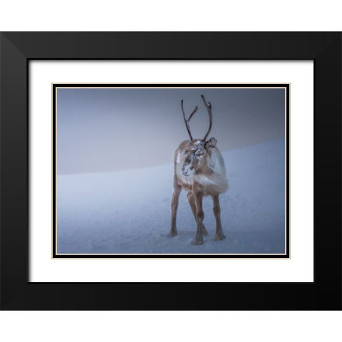 Against The Elements Black Modern Wood Framed Art Print with Double Matting by Venier, Giovanni