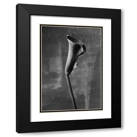 Flower_3 Black Modern Wood Framed Art Print with Double Matting by Mori, Kenji